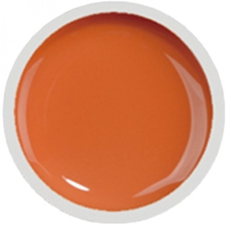 Gel UV Color FSM 8ml- 017 Mango